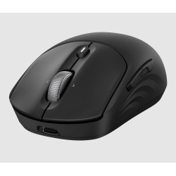 HP Souris sans fil rechargeable 705 | JDB-Info