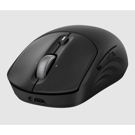 HP Souris sans fil rechargeable 705 | JDB-Info
