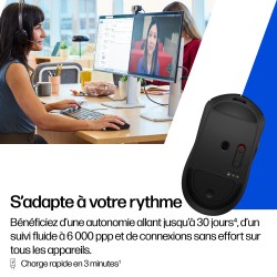 HP Souris sans fil rechargeable 705 | JDB-Info