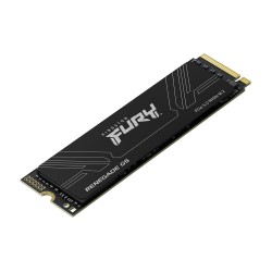 Kingston Technology 1T FURY RENEGADE G5 M.2 2280 NVMe SSD | JDB-Info