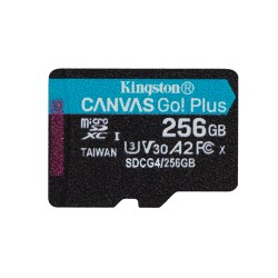 Kingston Technology Carte microSDXC Canvas Go Plus Gen4 200 | JDB-Info