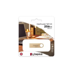 Kingston Technology DataTraveler 256Go 220Mo/s Clé USB 3.2 | JDB-Info