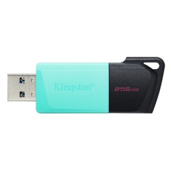 Kingston Technology DataTraveler 256GB USB3.2 Gen1 Exodia M | JDB-Info