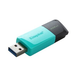 Kingston Technology DataTraveler 256GB USB3.2 Gen1 Exodia M | JDB-Info