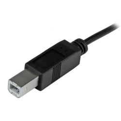 StarTech.com Câble USB-B vers USB-C de 1m, Câble de Transfe | JDB-Info