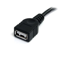 StarTech.com Câble d'extension USB 2.0 A vers A de 1,8 m - | JDB-Info
