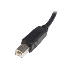 StarTech.com Câble USB 2.0 A vers B de 3 m - Cordon USB A v | JDB-Info