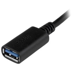 StarTech.com Adaptateur USB-C vers USB-A de 15cm, USB 5Gbps | JDB-Info