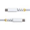 StarTech.com Câble de Charge USB-C de 30cm, 60W 3A PD, Gain | JDB-Info