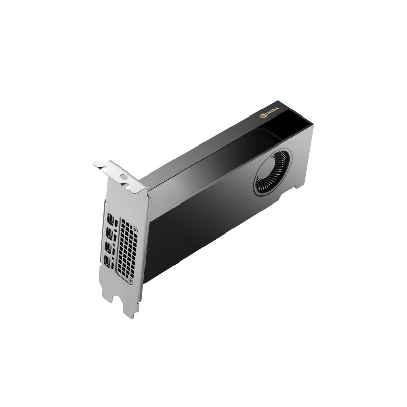 HP NVIDIA RTX PH x2xxx 4mDP Graphics | JDB-Info