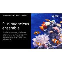 XEROX CARTOUCHE DE TONER 106R03474