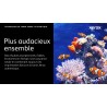 XEROX CARTOUCHE DE TONER 106R03859