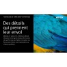 XEROX CARTOUCHE DE TONER 106R03859