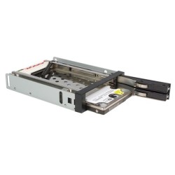 STARTECH 2 DRIVE 2.5IN TRAYLESS SATA MOB
