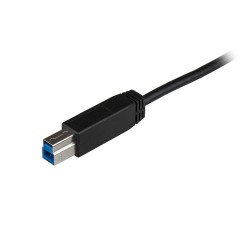 StarTech.com Câble USB-B vers USB-C de 1m, USB 10Gbps, Cord | JDB-Info
