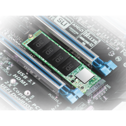 TRANSCEND 250o SSD internal M.2 2280 PCIe Gen3x4 NVMe TLC DRAM-less