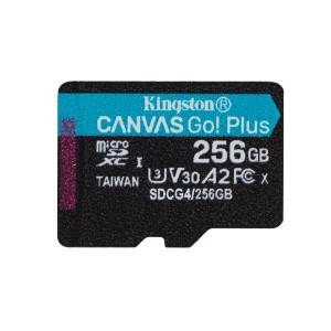 Kingston Technology Carte microSDXC Canvas Go Plus Gen4 200 | JDB-Info