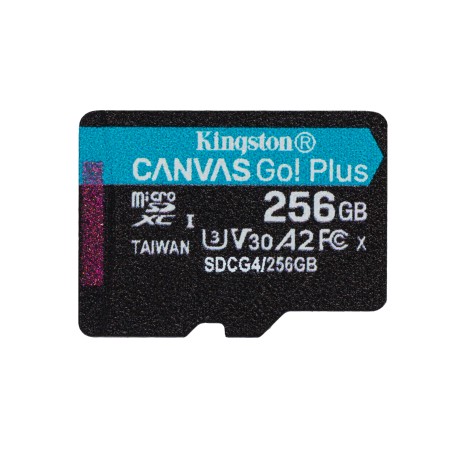 Kingston Technology Carte microSDXC Canvas Go Plus Gen4 200 | JDB-Info