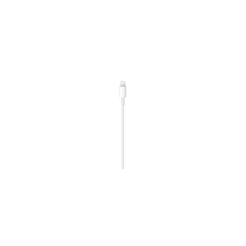 APPLE USB-C to Lightning Cable 1m