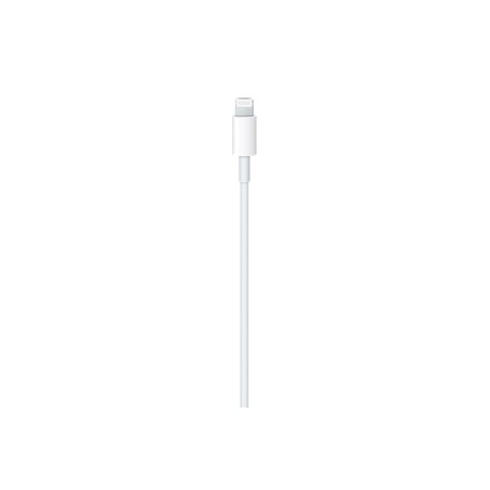 APPLE USB-C to Lightning Cable 1m