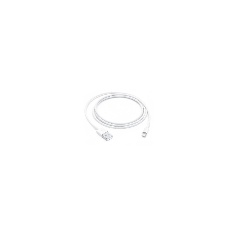 APPLE Lightning to USB Cable 1m