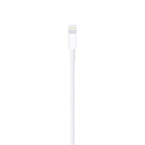 APPLE Lightning to USB Cable 1m
