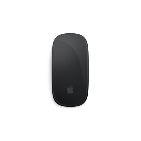 APPLE Magic Mouse - Black Multi-Touch Surface
