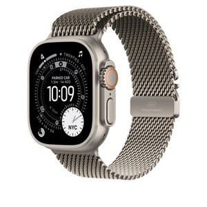 APPLE 49mm Natural Titanium Milanese Loop - Large