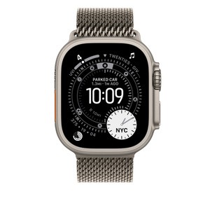 APPLE 49mm Natural Titanium Milanese Loop - Large