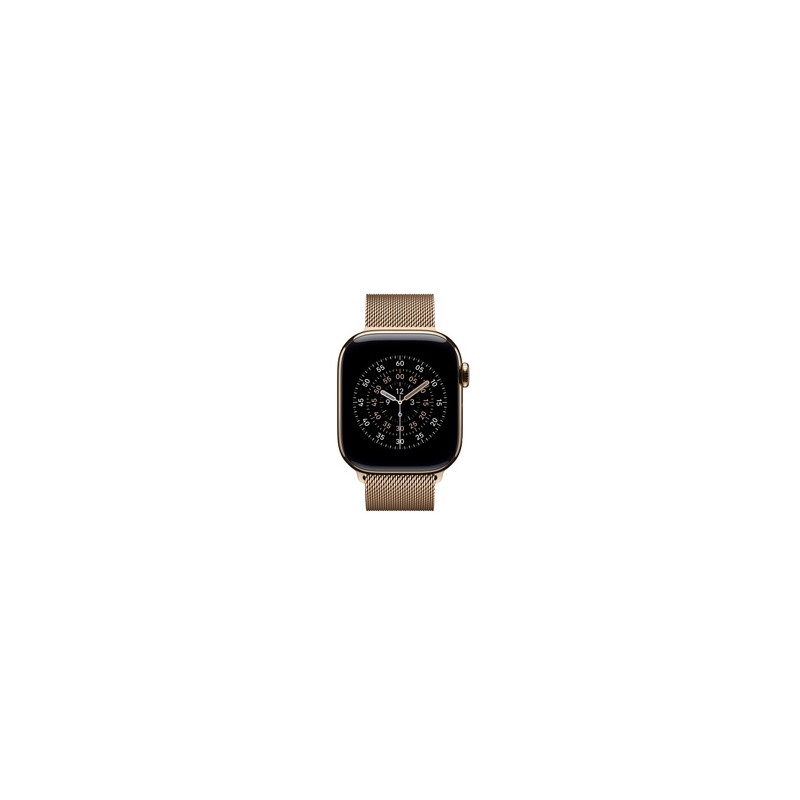 APPLE 42mm Gold MilaneseLoop