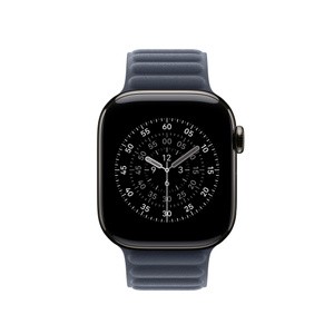 APPLE 42mm Navy Magnetic Link - M/L