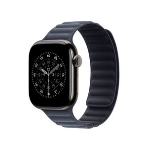 APPLE 42mm Navy Magnetic Link - M/L