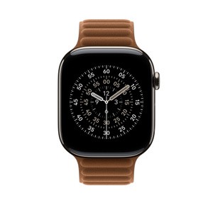 APPLE 46mm Caramel Magnetic Link - M/L