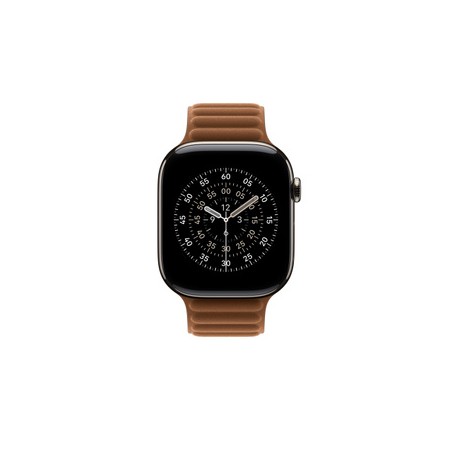 APPLE 46mm Caramel Magnetic Link - M/L