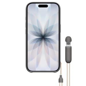 APPLE Beats iPhone 17 Kickstand Case with MagSafe and Camera Control - Granite Gray