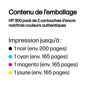 HP 300 2-pack Black/Tri-color Original Ink Cartridges carto | JDB-Info