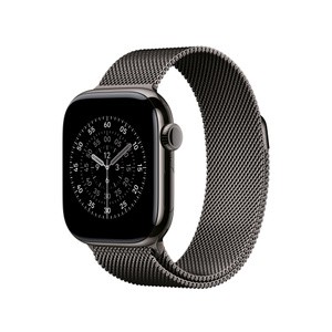 APPLE 42mm Slate MilaneseLoop