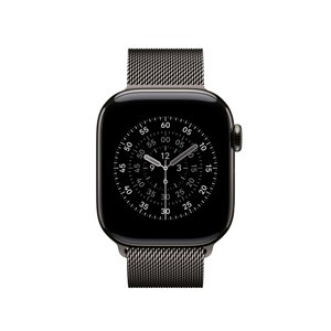 APPLE 42mm Slate MilaneseLoop