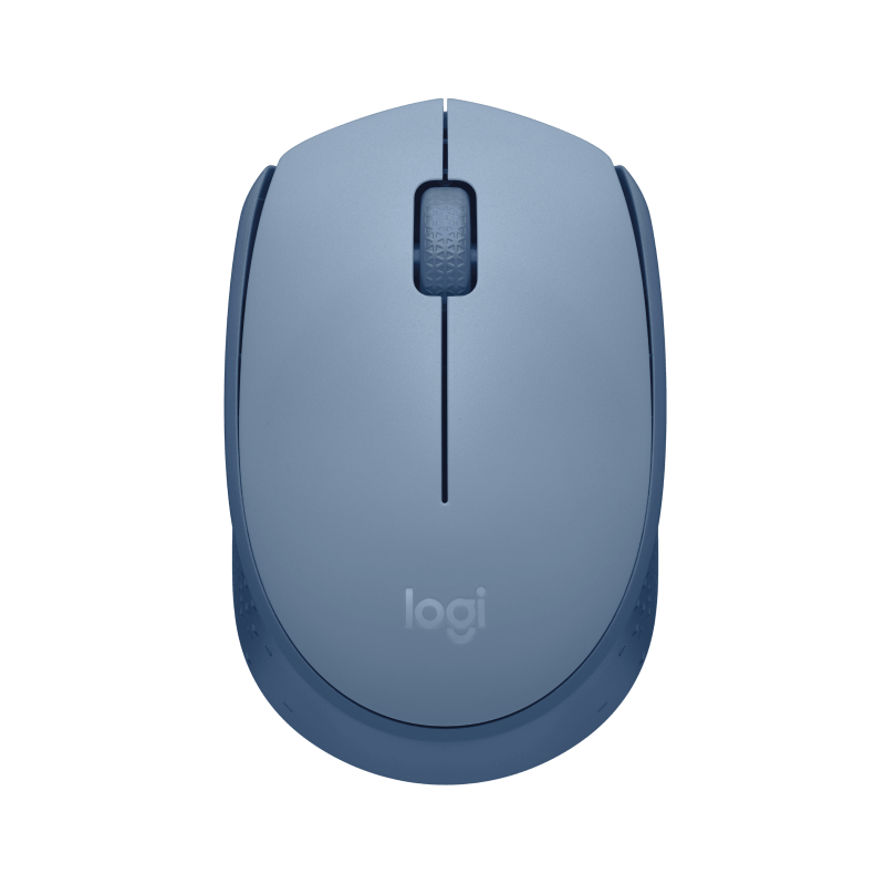 LOGITECH M171 Mouse right and left-handed optical 3 buttons wireless 2.4 GHz USB wireless receiver blue/grey
