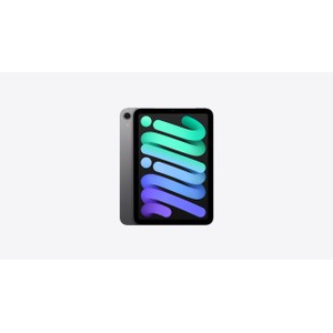 APPLE iPad mini Wi-Fi 128Go - Space Grey