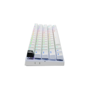 LOGITECH PRO X 60 LIGHTSPEED Wireless Gaming Keyboard Tactile - White - NORDIC-613 (PAN)