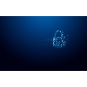Kingston Technology IronKey Vault Privacy 50 lecteur USB fl | JDB-Info