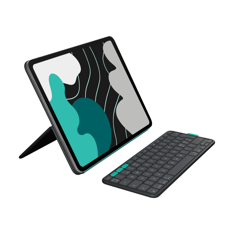 LOGITECH Flip Folio Graphite (PAN)