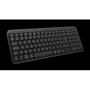 LOGITECH Wired Keyboard K250 Graphite (NLB)