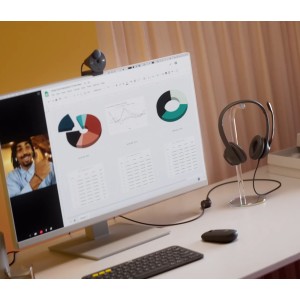LOGITECH USB HEADSET H390