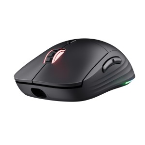 Trust GXT 927 Redex+ souris Gaming Droitier RF Wireless + U | JDB-Info