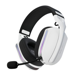 Oniverse Polaris Avec fil &sans fil Arceau USB Type-C / USB | JDB-Info