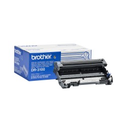 Brother Tambour DR-3100 original | JDB-Info