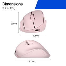 HP Tilt Ergo PNK MSE 720M EMEA-INTL EN L souris Maison Droi | JDB-Info