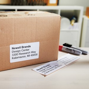 DYMO LW - Multi-Purpose Labels - 32 x 57 mm - 2093094 Blanc | JDB-Info